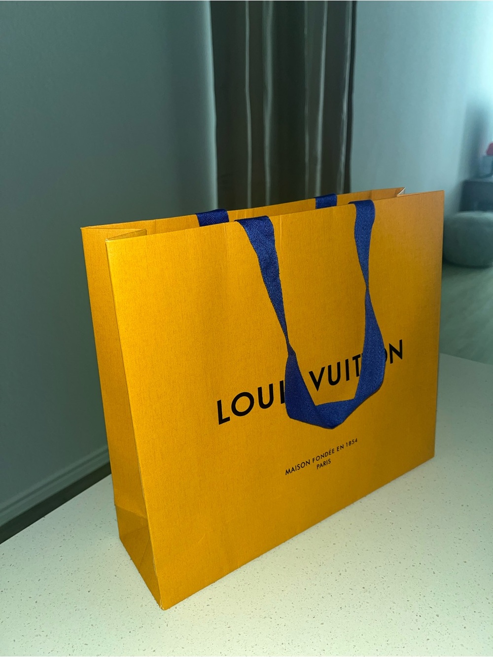 LV bag